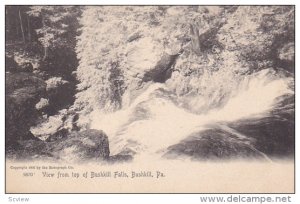 View From Top Of Bushkill Falls, Bushkill, Pennsylvania, 1900-1910s