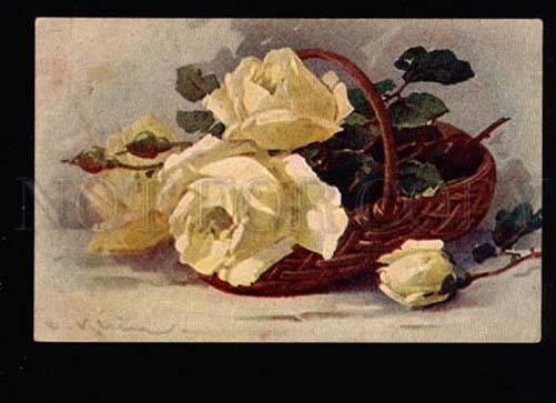 037772 Tea ROSES in Basket. By C. KLEIN vintage PC