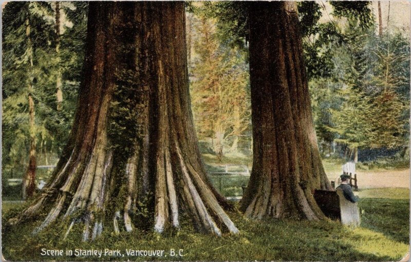 Stanley Park Vancouver BC Huge Trees New Westminster Duplex Cancel Postcard E82