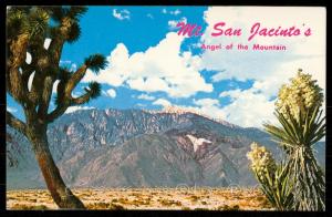 Mt. San Jacinto's - Angel of the Mountain