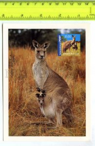 420875 AUSTRALIA kangaroo Pre-paid Postal Stationery postcard