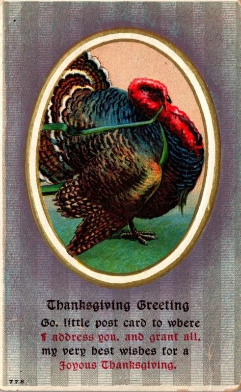 Thanksgiving With Turkey