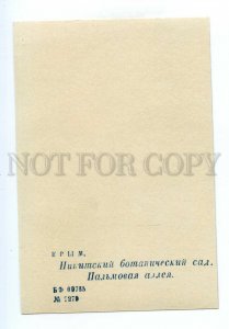 498375 USSR 1959  Nikitsky Botanical Garden palm alley ed. 15000 miniature
