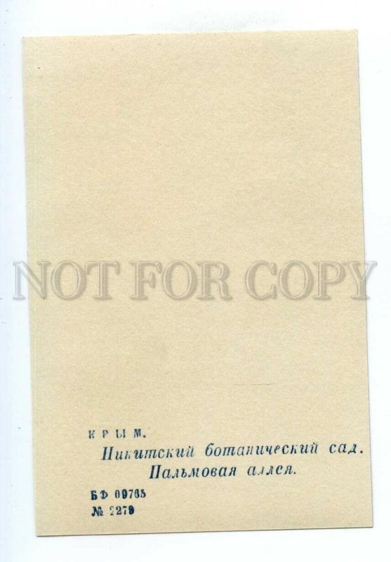 498375 USSR 1959  Nikitsky Botanical Garden palm alley ed. 15000 miniature