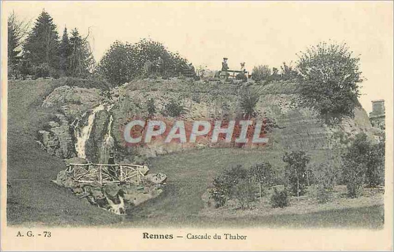 Old Postcard A 73 g reindeer cascade thabor