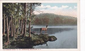 New York Adirondack Mountains Picturesque Scene