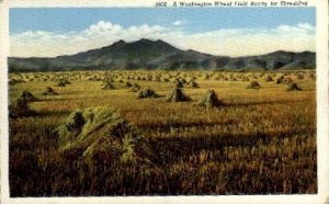 Wheat Field - Misc, Washington