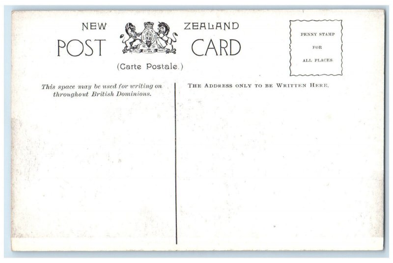 c1910 Mission Church Building Wairoa Tarawera Eruption New Zealand Postcard