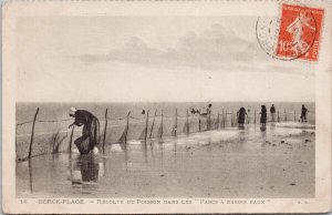 Berck-Plage Recolte du Poisson Dane Les Parcs a Basses Eaux France Postcard H50