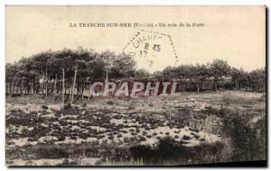 Old Postcard La Tranche Sur Mer A Corner Of The Forest