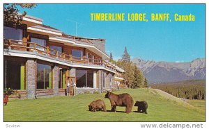 Timberline Lodge, Bears, Banff, Alberta, Canada, 1940-1960s