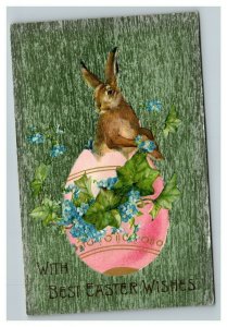 Vintage 1909 Winsch Back Easter Postcard - Green Face Giant Pink Egg Cute Bunny