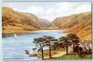 Dolgellau Gwynedd Wales Postcard Tal-y-Llyn Dolgelley c1910 Unposted Antique