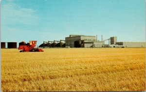 Potash in Saskatchewan Combine Farm Machinery Agriculture Unused Postcard E99