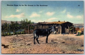 Vtg Mexico Mexican Home by the Rio Grande River Ole Southwest 1940s Postcard