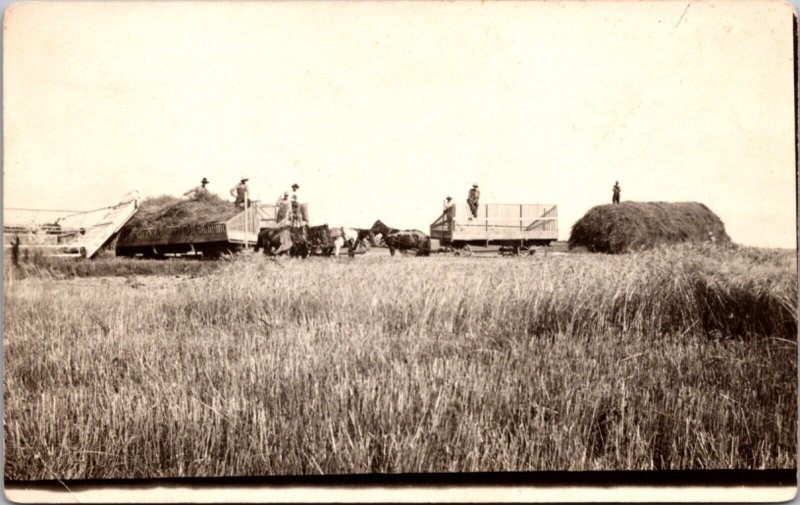 Real Photo Postcard Farming Harvest Equipment Hay Field Kansas