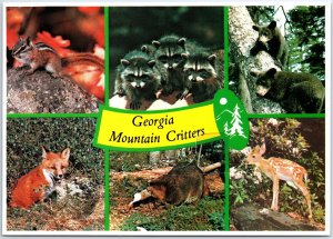 VINTAGE CONTINENTAL SIZE POSTCARD GEORGIA MOUNTAIN CRITTERS (6) VIEWS