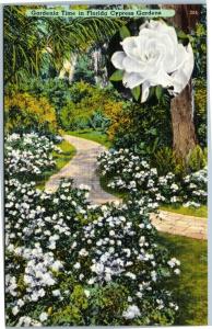 Cypress Gardens Florida - Path lined with Gardenia's and Gardenia inset picture