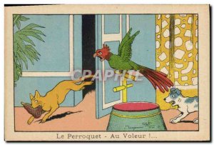Image Benjamin Rabier the parrot thief! Cat dog