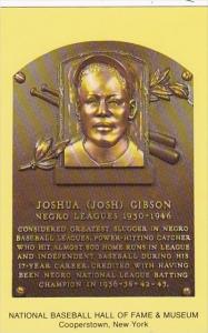 Joshua Gibson National Baseball Hall Of Fame & Museum  Cooperstown New York