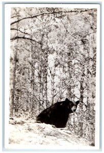 1942 Bear Of A Place Winter Scene Crane Lake Minnesota MN RPPC Photo Postcard