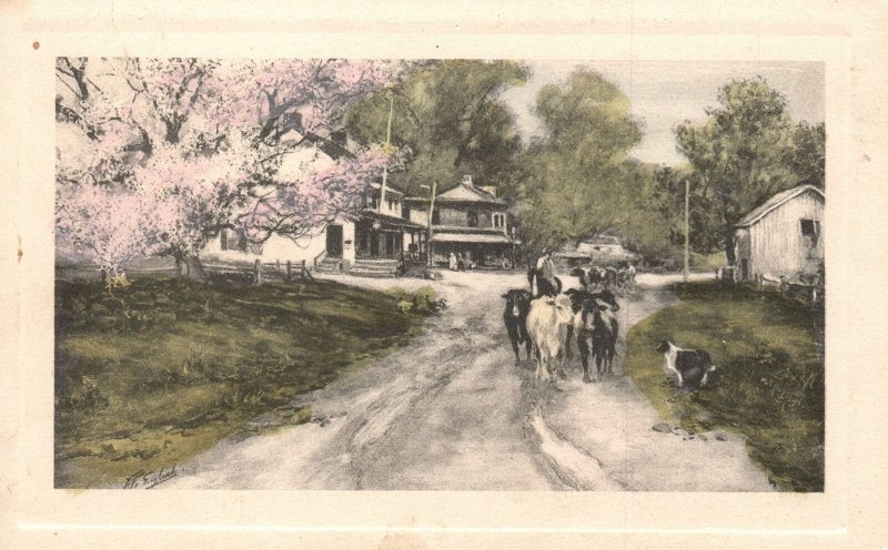 Vintage Postcard 1912 Group of Cattle Cows Walking Along Dirt Road Animals Art