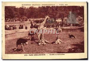 Old Postcard Paris International Colonial Exposition 1931 Zoo giraffes and os...