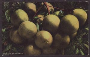 Grape Fruit,FL Postcard 