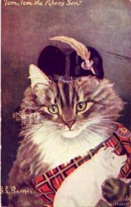 TOM, TOM THE PIPER'S SON BARNES ILLUSTRATION CAT 1907