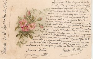 Flowers Nice old vintage  French postcard
