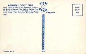 Arkansas Turkey Farm, Ozark AR, Thompson Broadwhite Turkeys