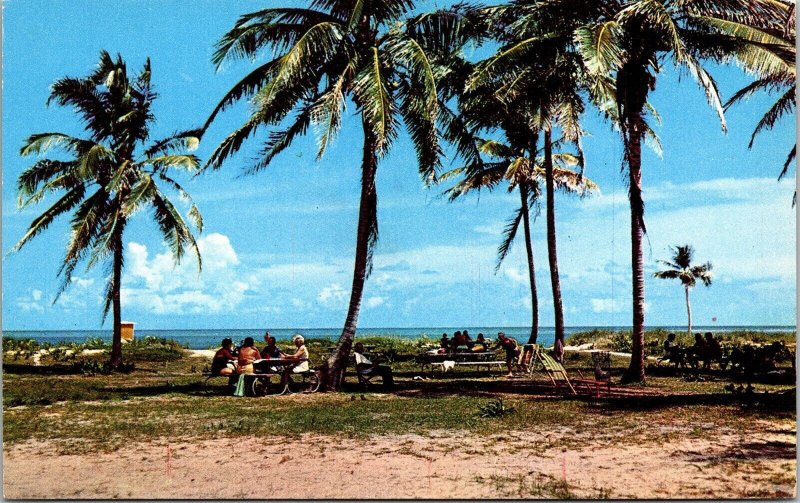 Picnicking Beach Crandon Park Key Biscayne Miami FL Florida Palms Postcard VTG 