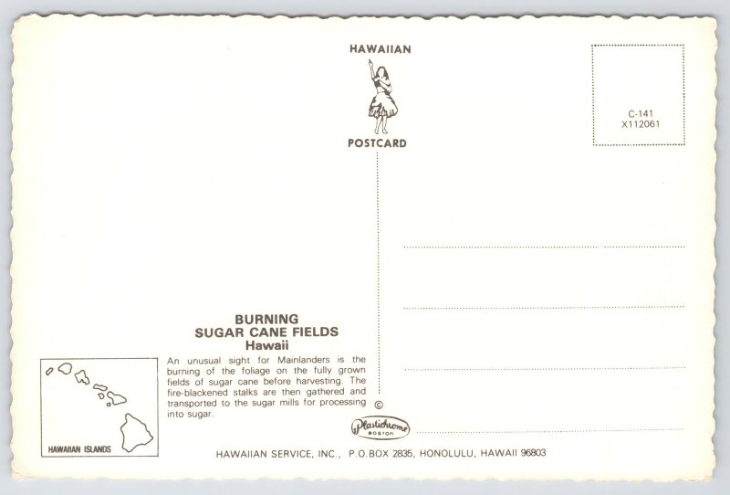 State View~Burning Sugar Cane Fields In Hawaii~Continental Postcard