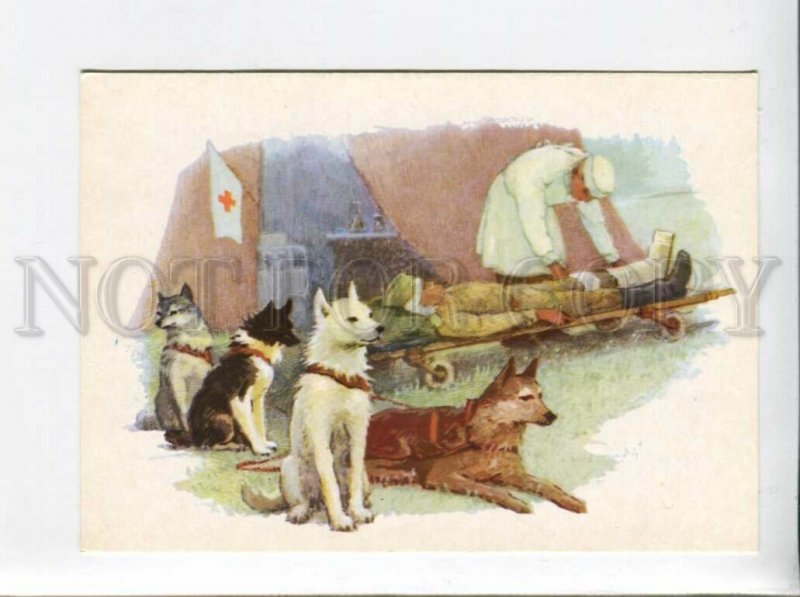 3096883 RED CROSS LAIKA Sanitary draught dogs by Aristov Old PC