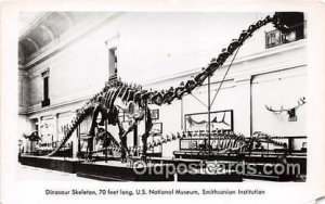 Dinosaur Skelton US National Museum, Smithsonian Institution Postcard