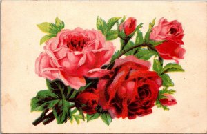 Vintage Rose Print Postcard PC110