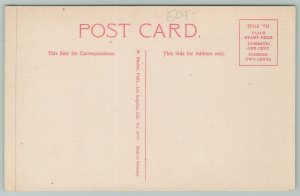 Santa Barbara California~Potter Hotel Bouganvillia Vines~c1910 Postcard