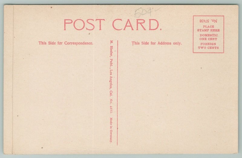 Santa Barbara California~Potter Hotel Bouganvillia Vines~c1910 Postcard