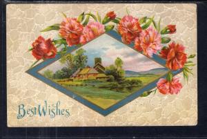 Best Wishes Carnations Scene BIN