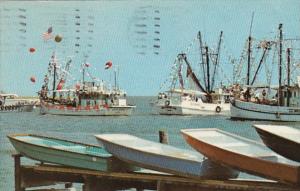 Blessing Of The Fleet Fishing Boats On The Gulf Of Mexico 1971