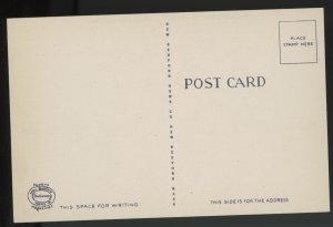 Marthas Vineyard Airport MA Postcard