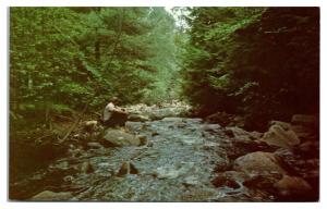 1960s/70s Brookside at Walker Island Family Camping, Chester, MA Postcard