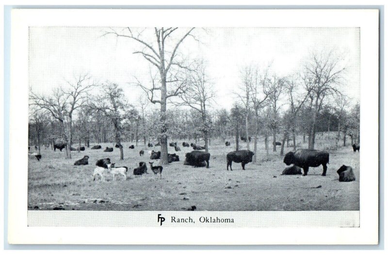 c1950's  Bison Bull Deer Frank Philips Ranch Woolaroc Oklahoma Vintage Postcard