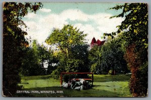 Postcard Winnipeg MB c1910s Central Park