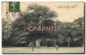 Old Postcard Tree Forest of Senart Carrefour oak d & # 39Antin