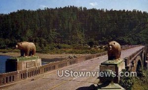 Bear, Klamath River Bridge , CA