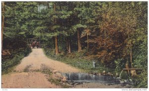 On the way to The Watson, Twin Lakes, Pike County, Pennsylvania, 00-10s