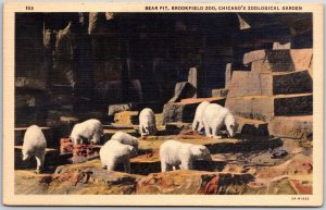 Chicago ILL, Bear Pit, Brookfield Zoo, Chicago's Zoological Garden, Postcard