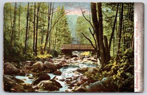 1906 Adirondacks Mountains Wilmington Notch Brook New York NY Posted Postcard