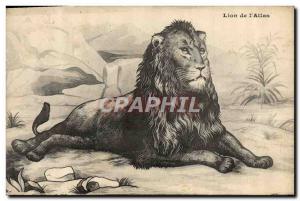 Old Postcard Lion of Felin & # 39Atlas